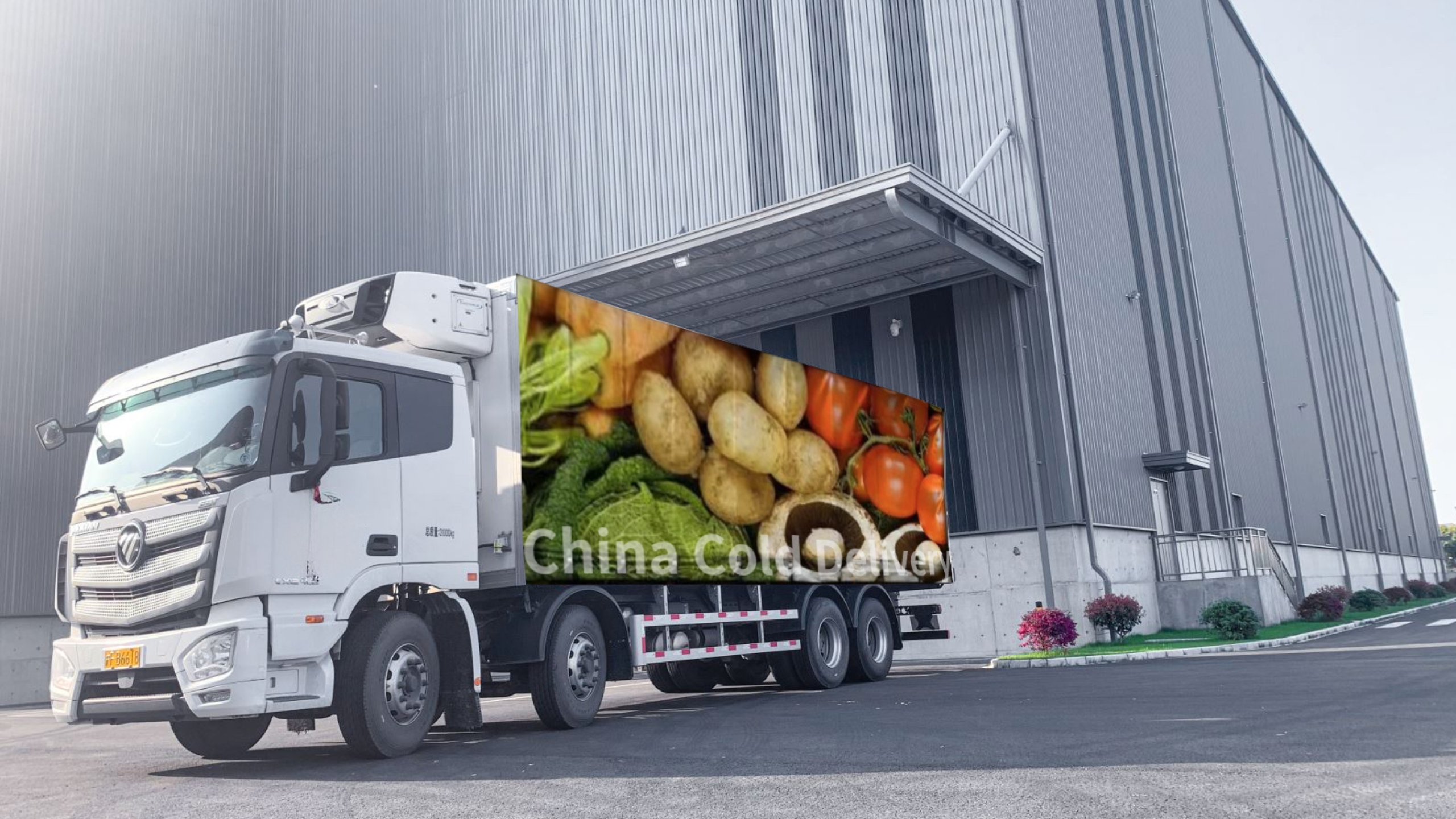 China Cold Chain